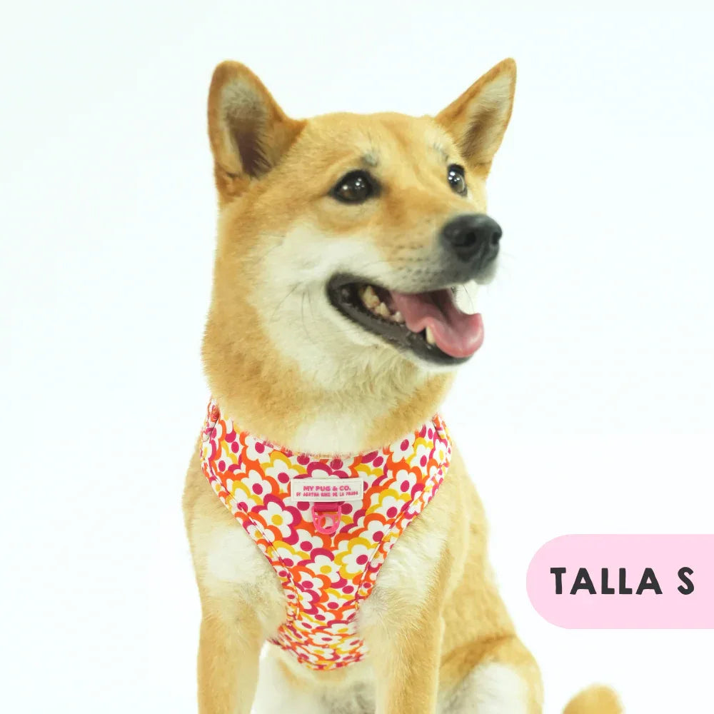 ARNES AJUSTABLE FLORES POP - Agatha Ruiz de la Prada