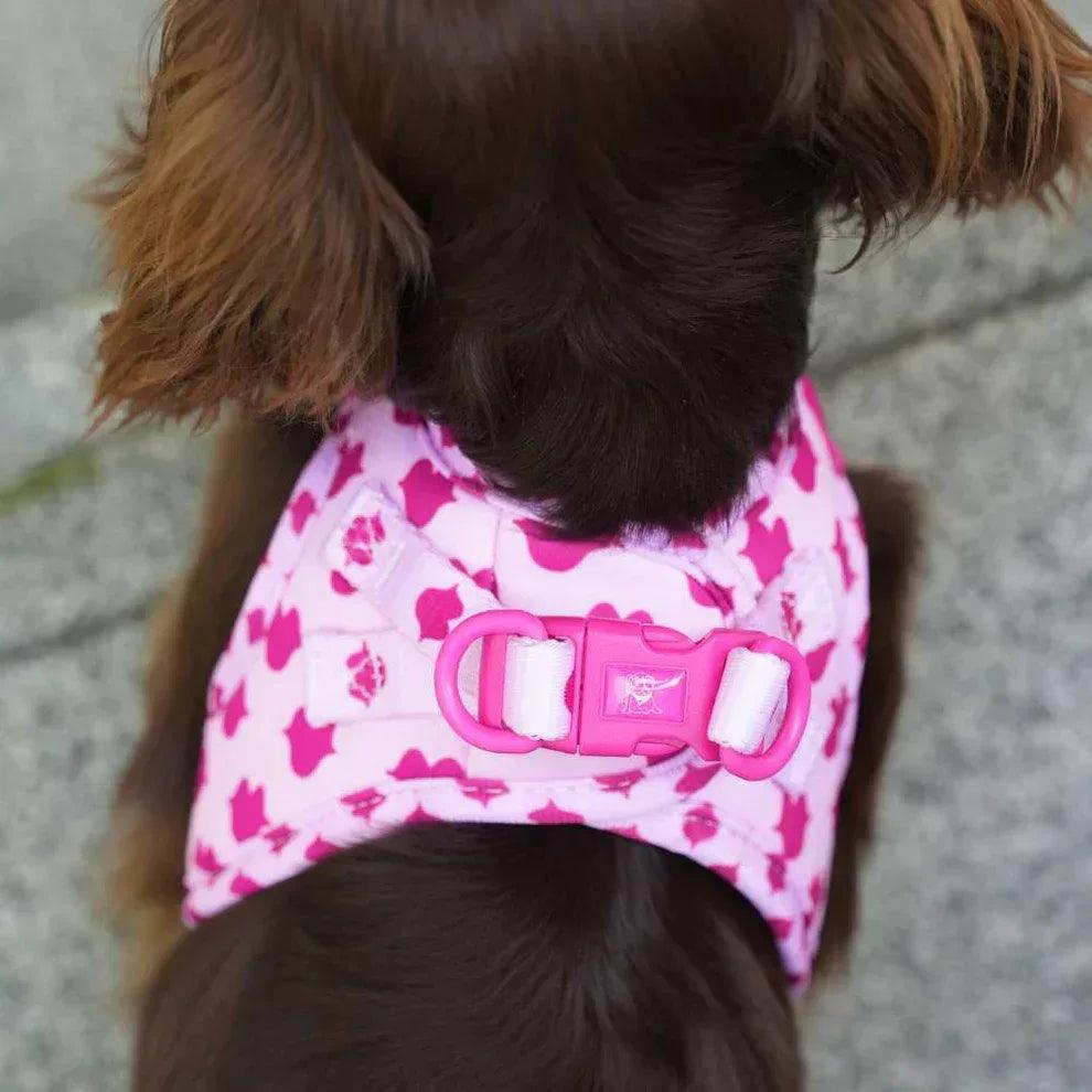 Chaleco ajustable para perro con broches rosas y estampado de corazones fucsia