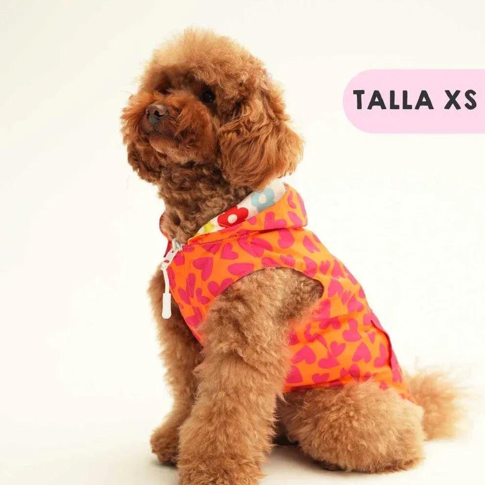 Chubasquero para perro con capucha, estampado floral multicolor sobre fondo claro