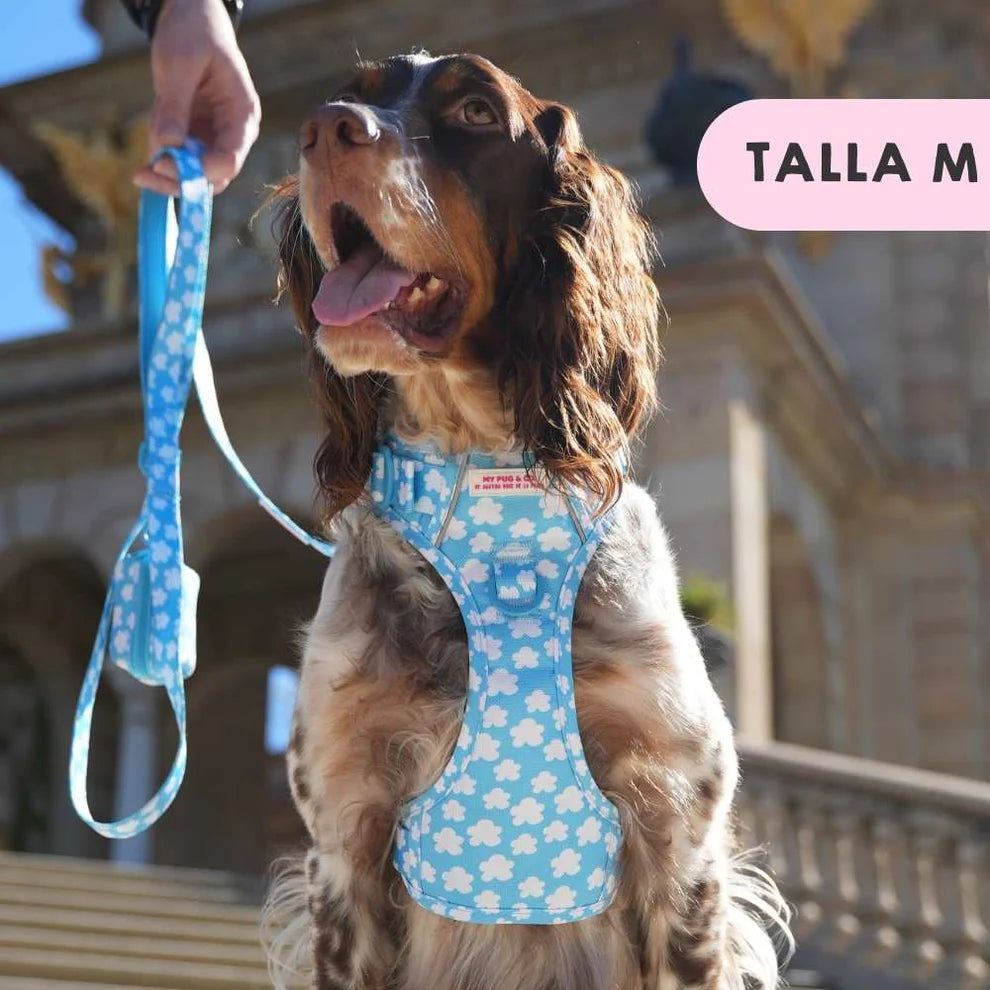 ALL-TERRAIN HARNESS CLOUDS