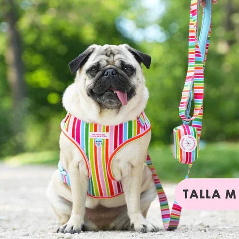 ARNES AJUSTABLE ARCOIRIS - Agatha Ruiz de la Prada