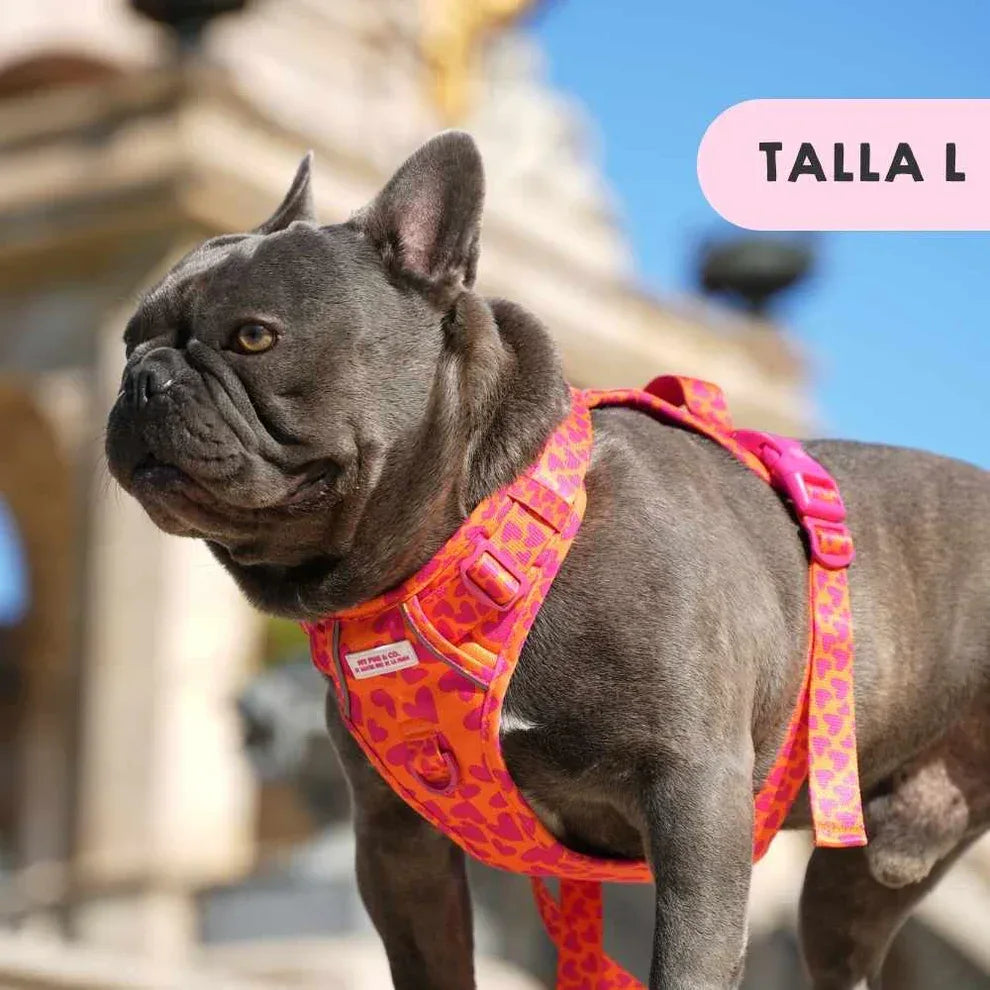 ARNES TODOTERRENO CORAZONES - Agatha Ruiz de la Prada