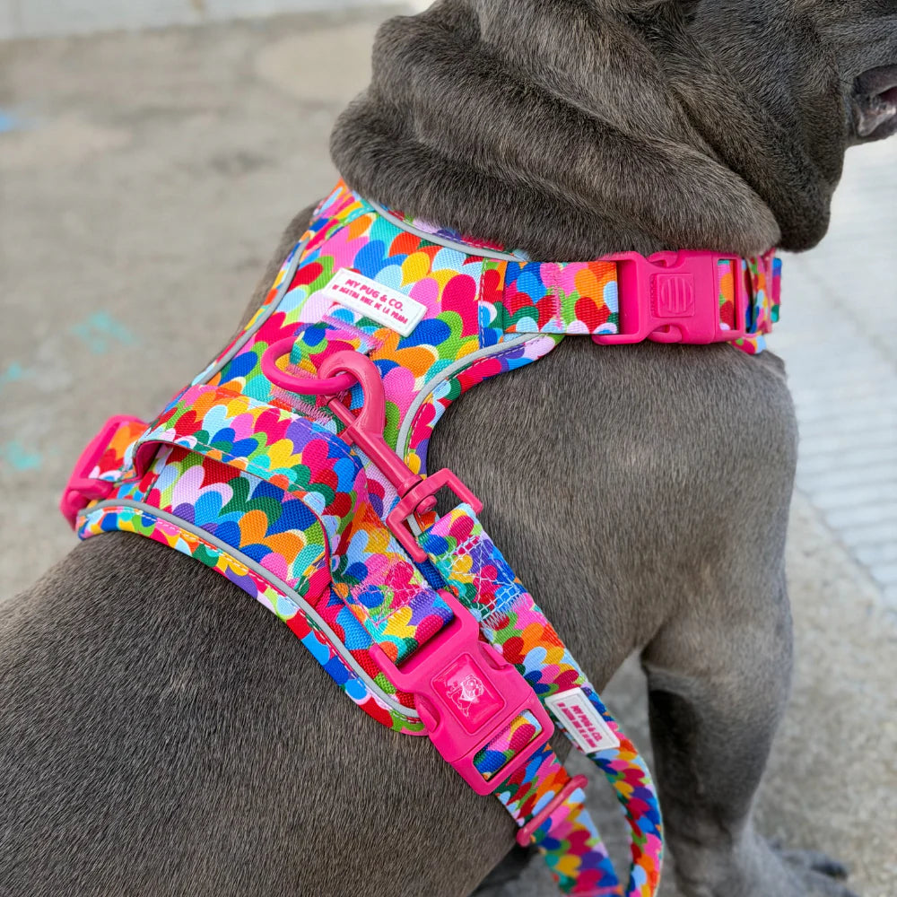 ALL-TERRAIN HARNESS HEARTS