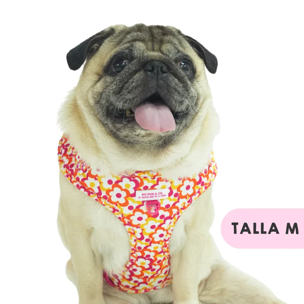 ARNES AJUSTABLE FLORES POP - Agatha Ruiz de la Prada