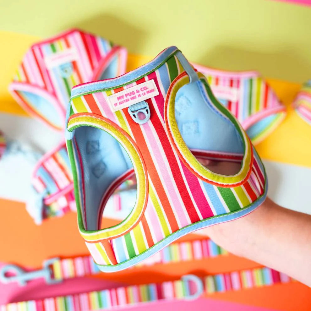 Adjustable Rainbow Body