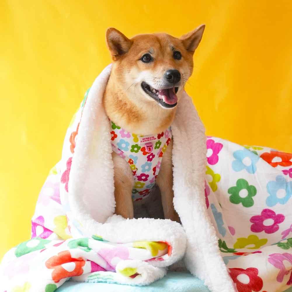 Manta Flores para Perros - Agatha Ruiz de la Prada