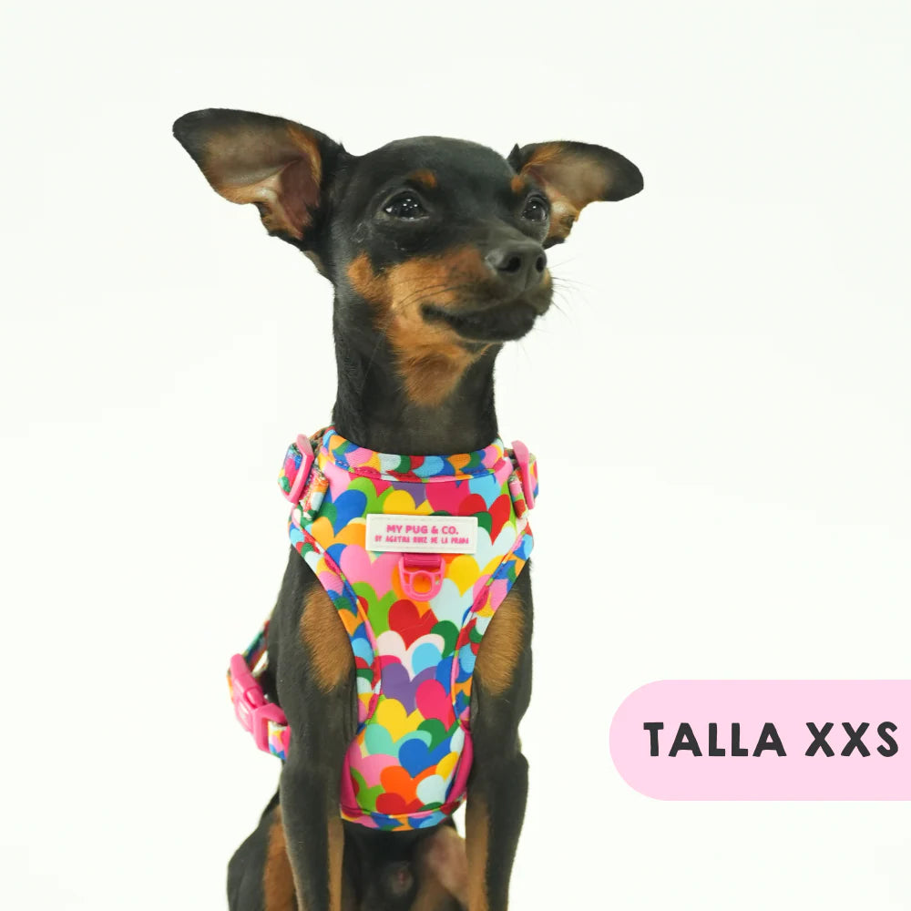 ADJUSTABLE HARNESS HEARTS