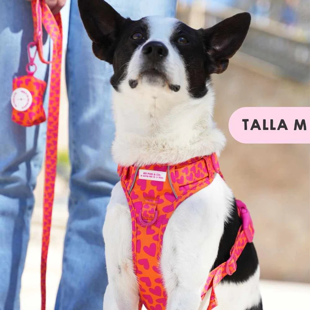 ARNES TODOTERRENO CORAZONES