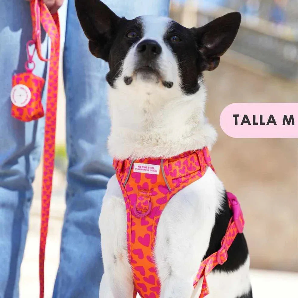 ARNES TODOTERRENO CORAZONES - Agatha Ruiz de la Prada