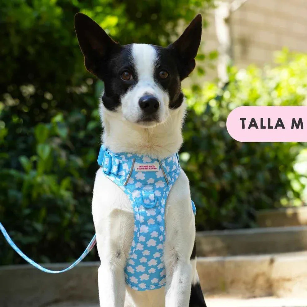 ARNES TODOTERRENO NUBES - Agatha Ruiz de la Prada