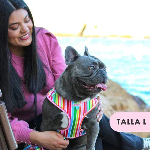 ARNES AJUSTABLE ARCOIRIS - Agatha Ruiz de la Prada