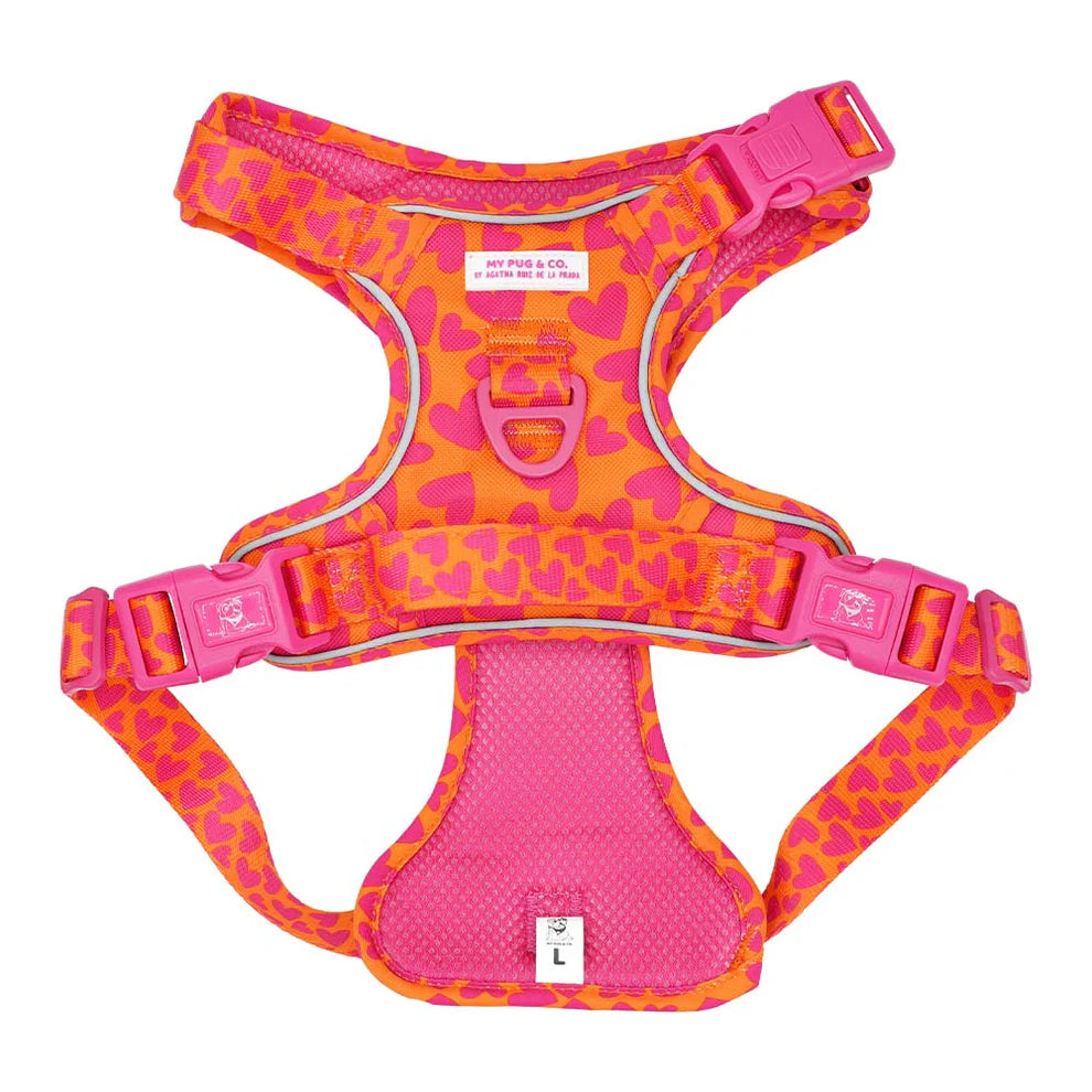 HARNAIS TOUT-TERRAIN COEURS