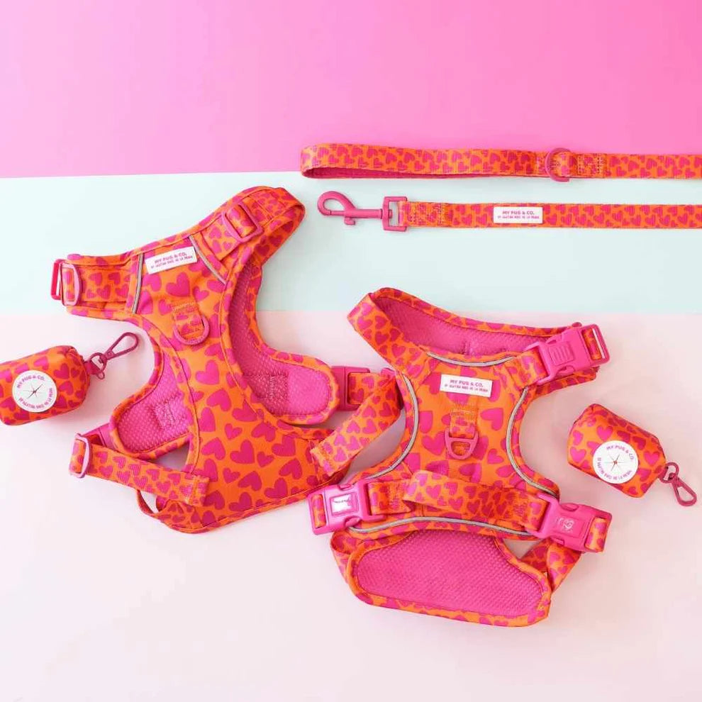 ARNES TODOTERRENO CORAZONES