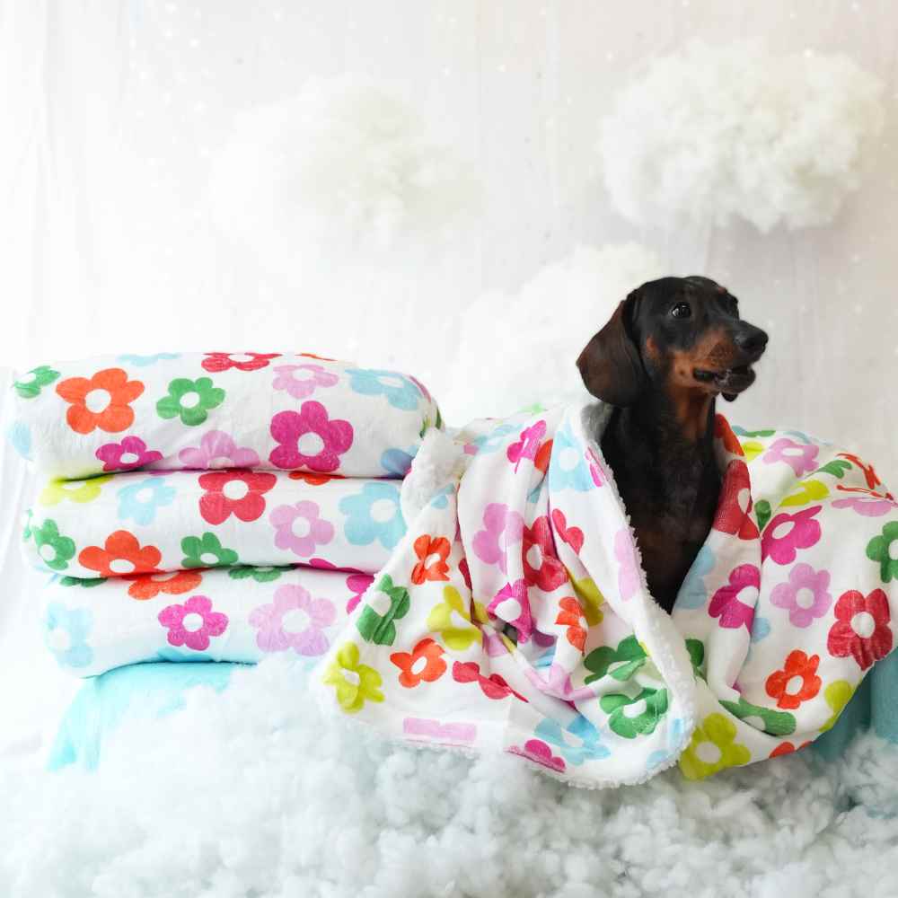 Manta Flores para Perros