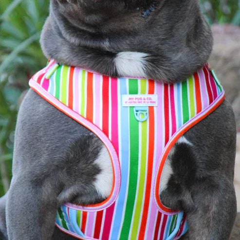 ARNES AJUSTABLE ARCOIRIS - Agatha Ruiz de la Prada