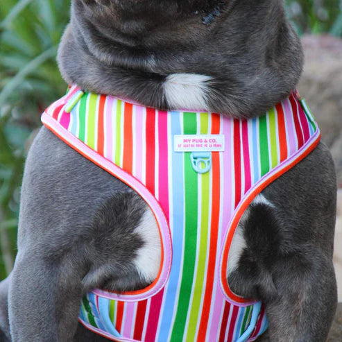 ARNES AJUSTABLE ARCOIRIS