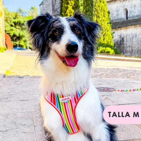 ARNES AJUSTABLE ARCOIRIS