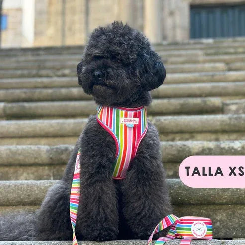 ARNES AJUSTABLE ARCOIRIS - Agatha Ruiz de la Prada