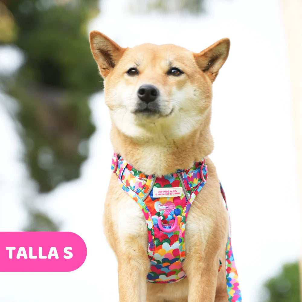 ALL-TERRAIN HARNESS HEARTS