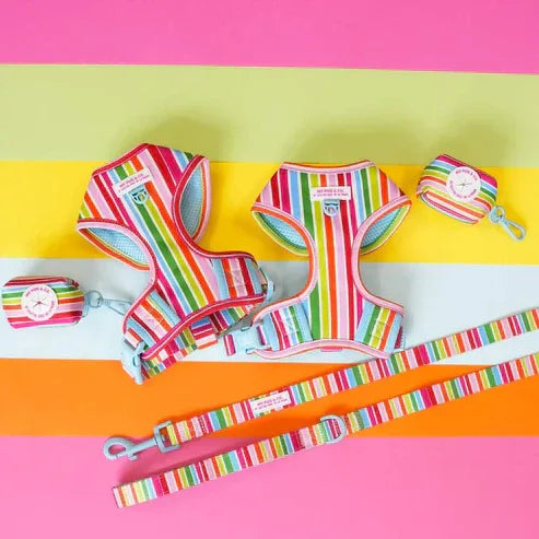 ARNES AJUSTABLE ARCOIRIS - Agatha Ruiz de la Prada