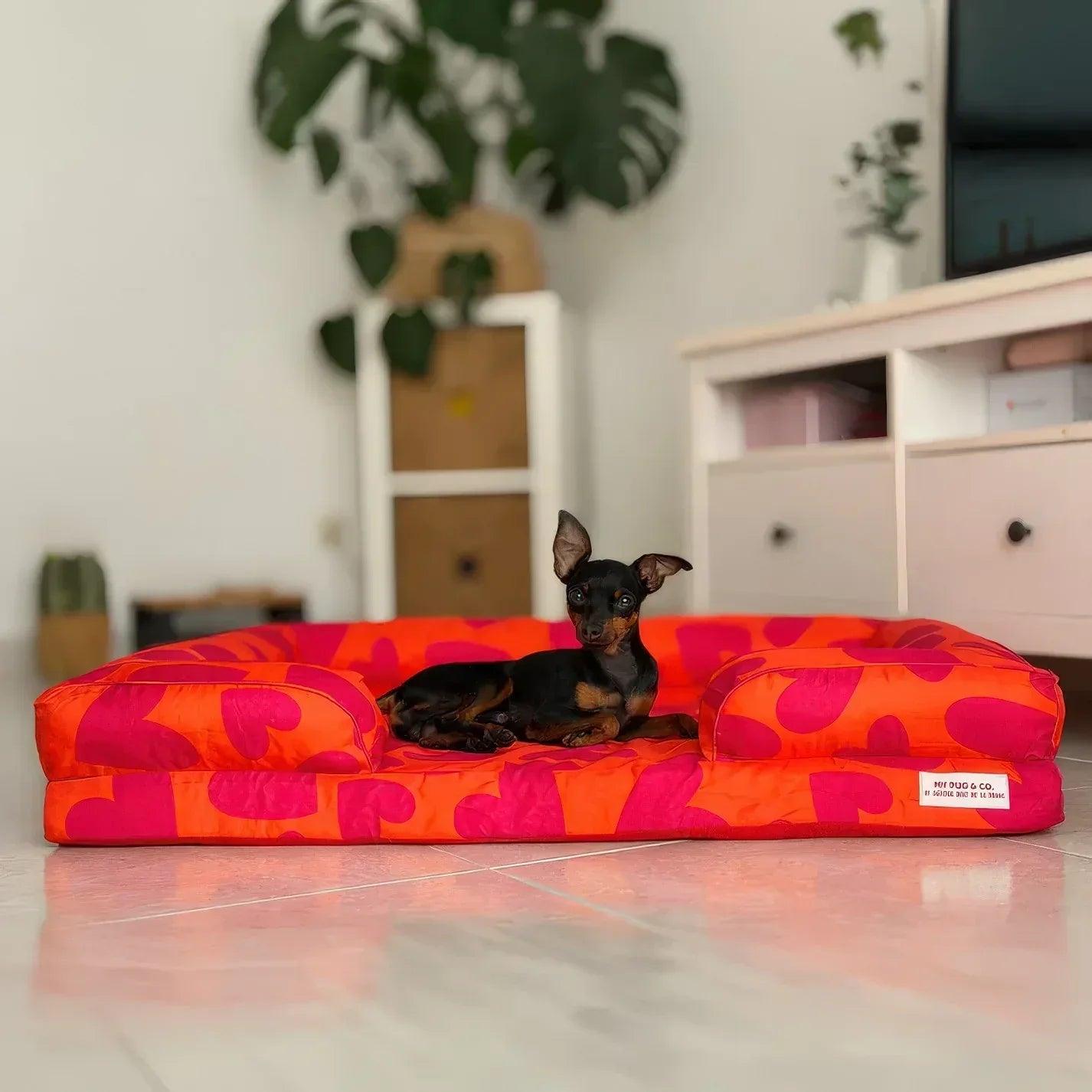 Cama acolchada para mascotas con patrón de corazones naranja y fucsia, cachorro dentro