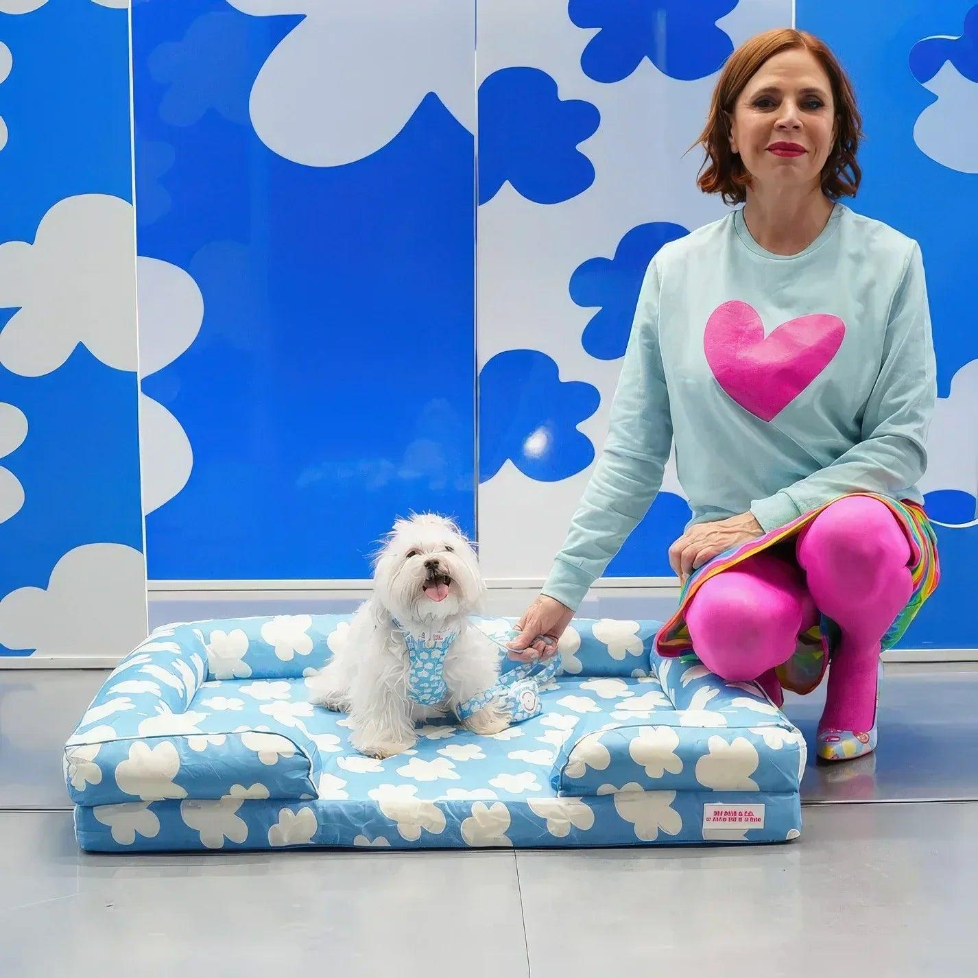 Cama para mascotas azul con estampado de flores blancas, superficie acolchada
