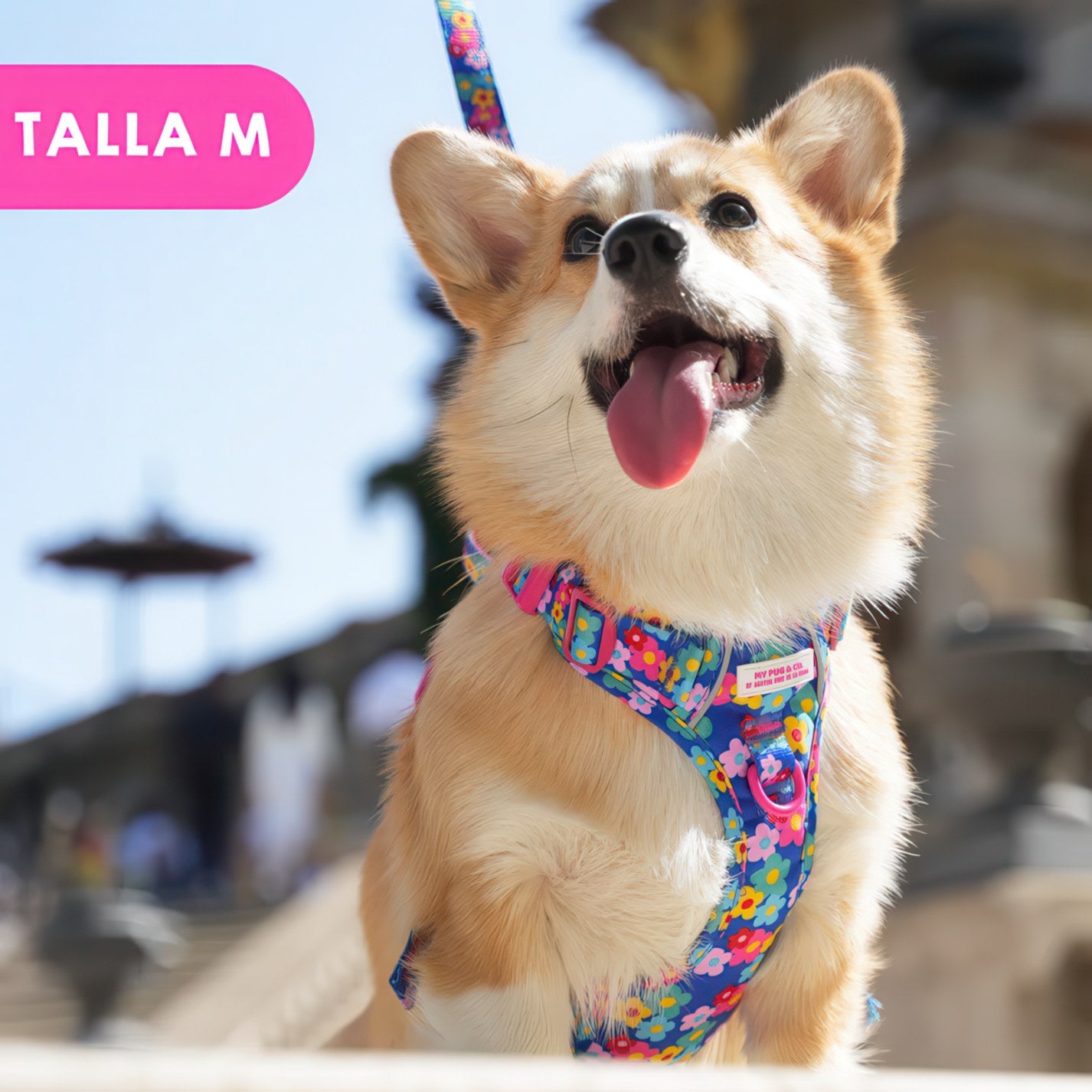 ALL-TERRAIN HARNESS HEARTS