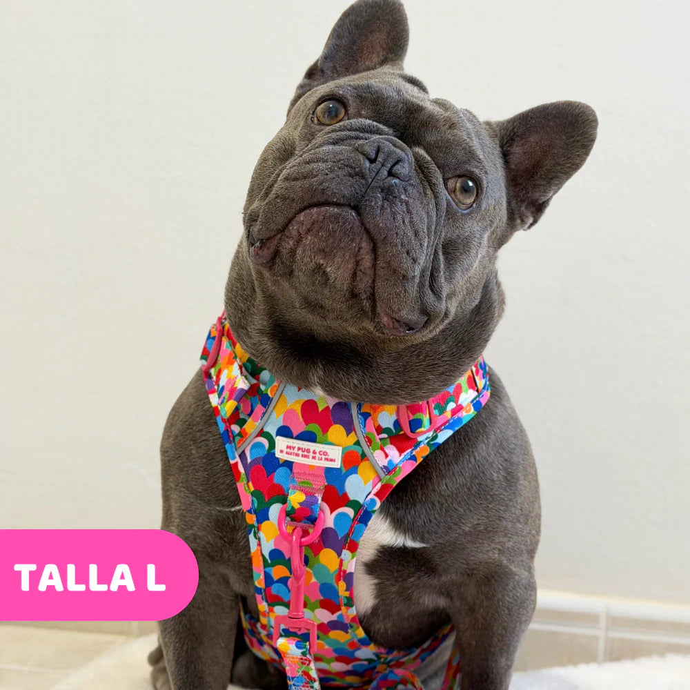 ALL-TERRAIN HARNESS HEARTS