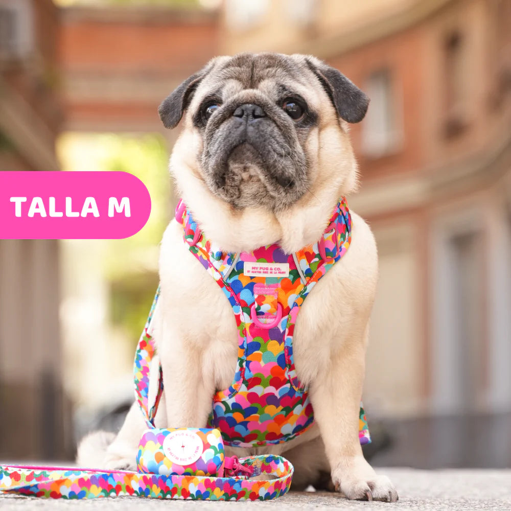 ALL-TERRAIN HARNESS HEARTS