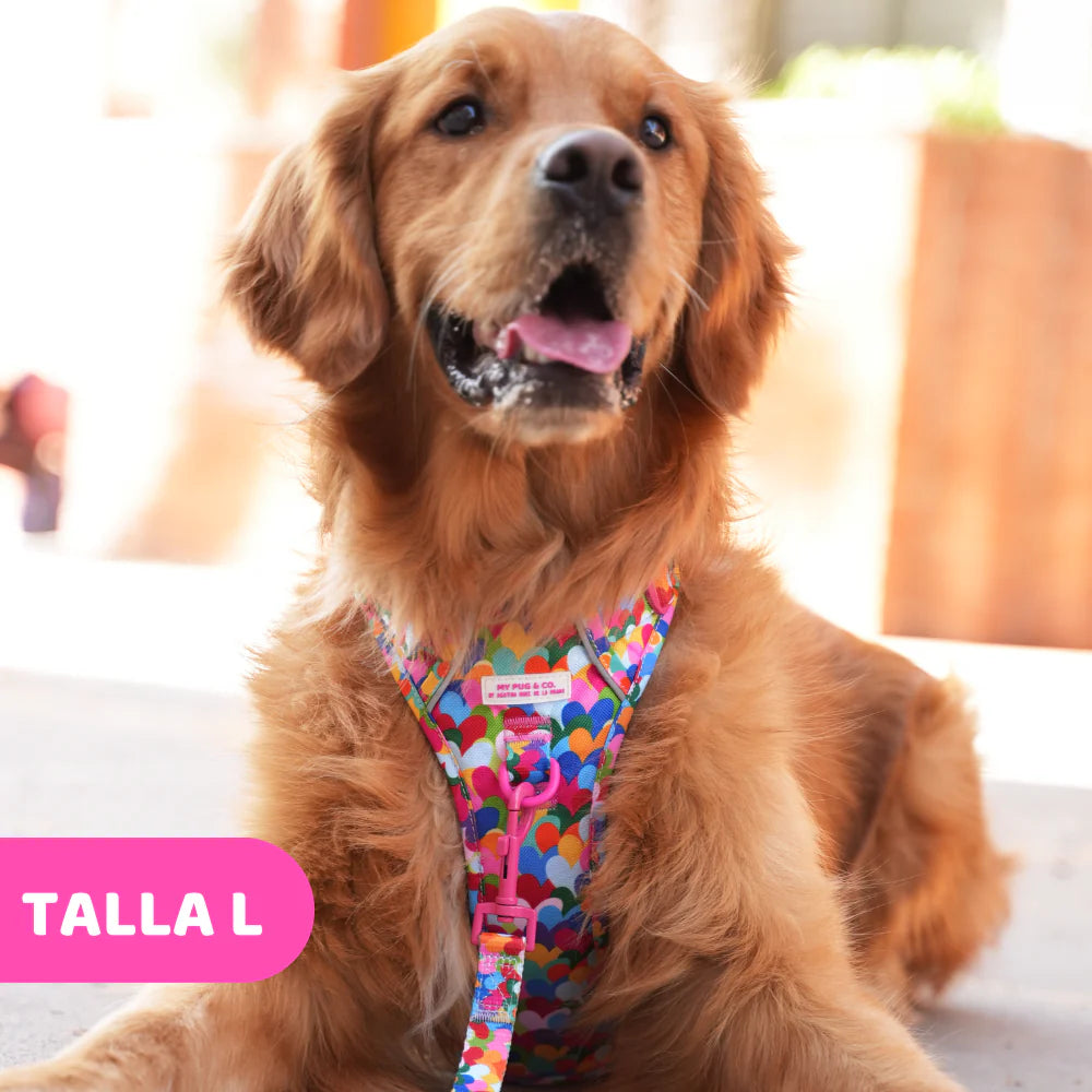 ALL-TERRAIN HARNESS HEARTS