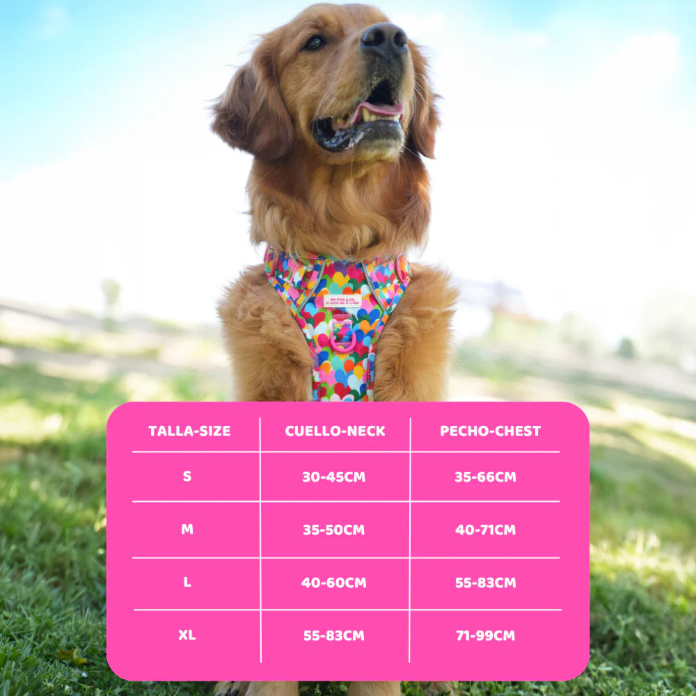 ALL-TERRAIN HARNESS HEARTS