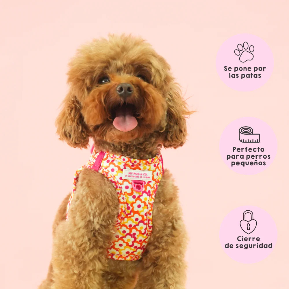 BODY HARNESS FLOWERS POP