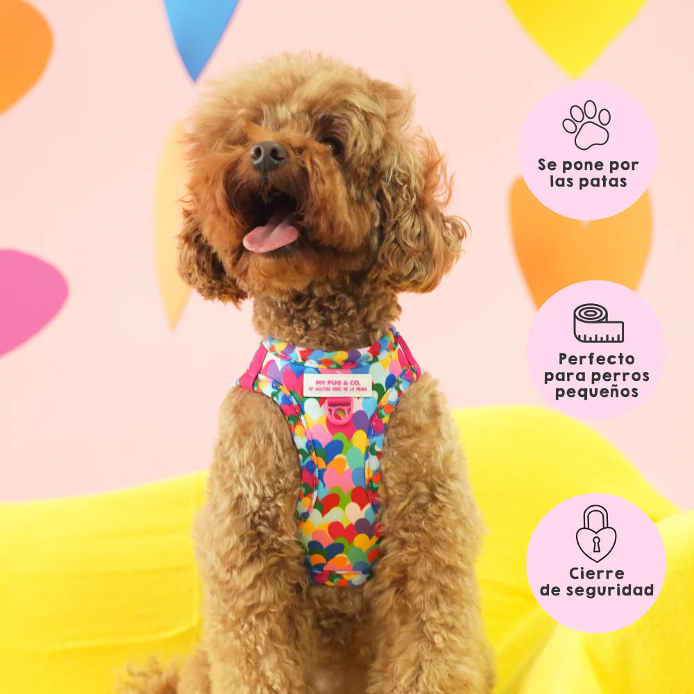 BODY HARNESS POP HEARTS