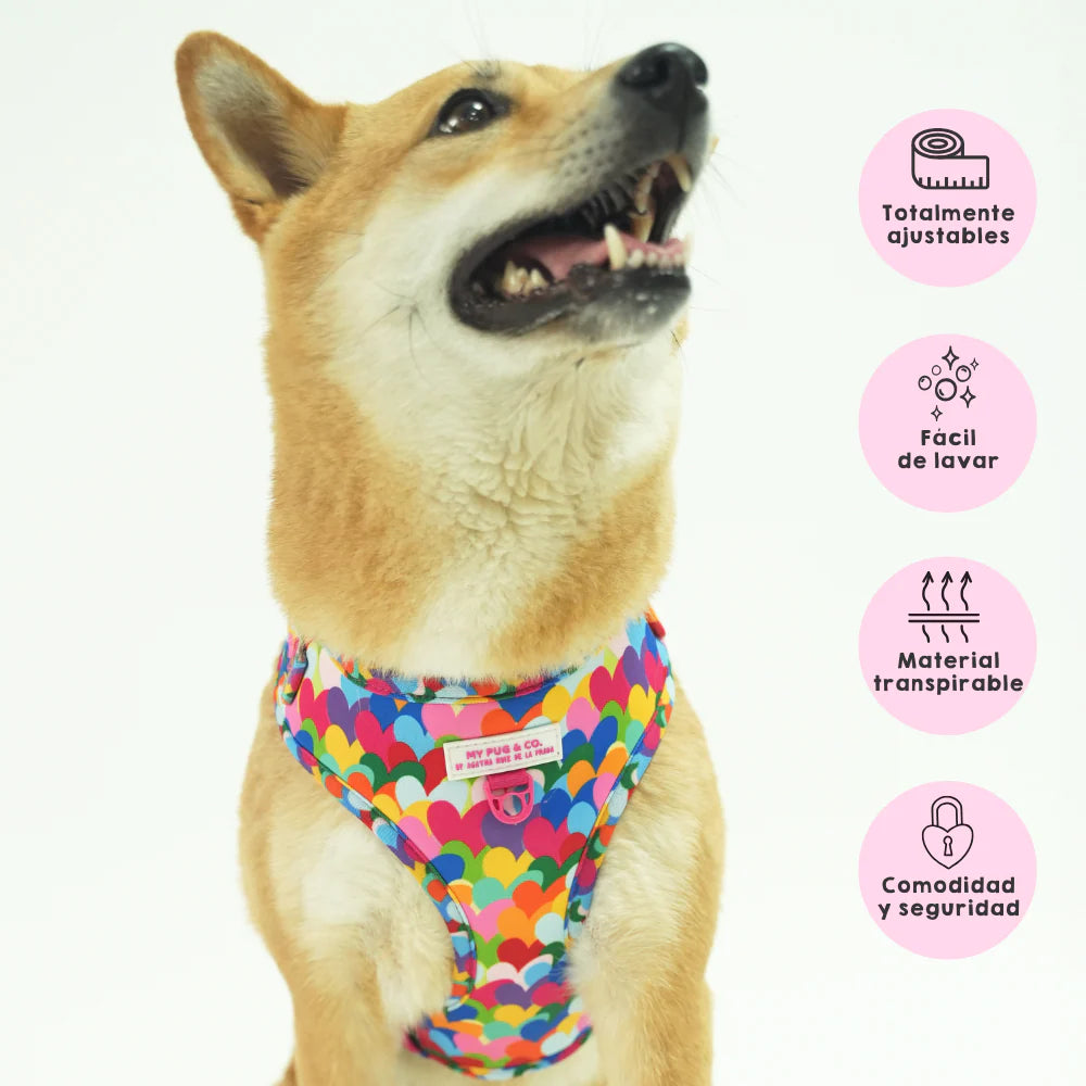 ADJUSTABLE HARNESS HEARTS