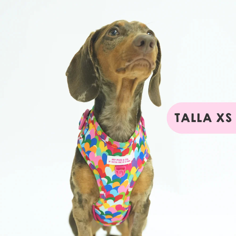 ADJUSTABLE HARNESS HEARTS