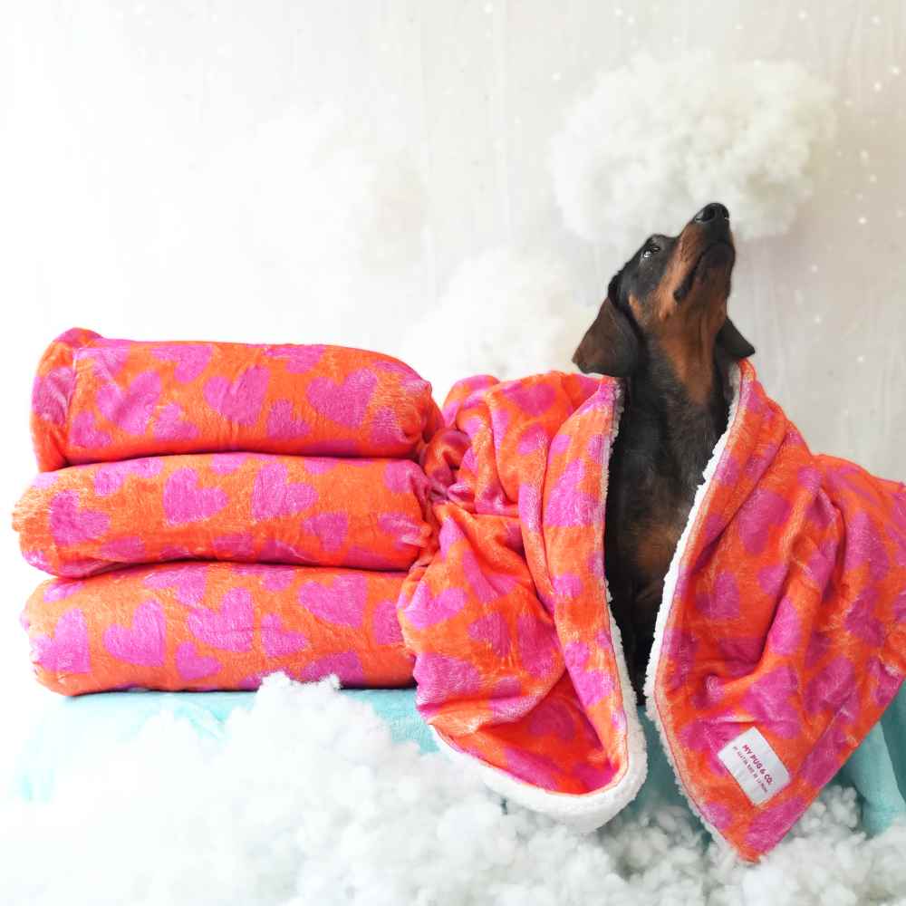 Manta Corazones para Perros