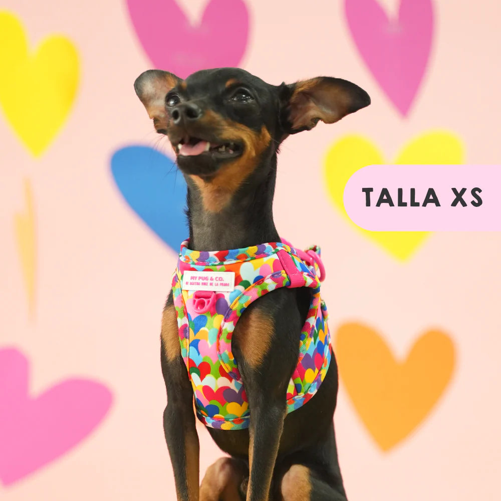 BODY HARNESS POP HEARTS