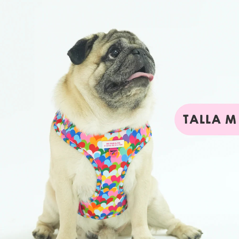 ADJUSTABLE HARNESS HEARTS