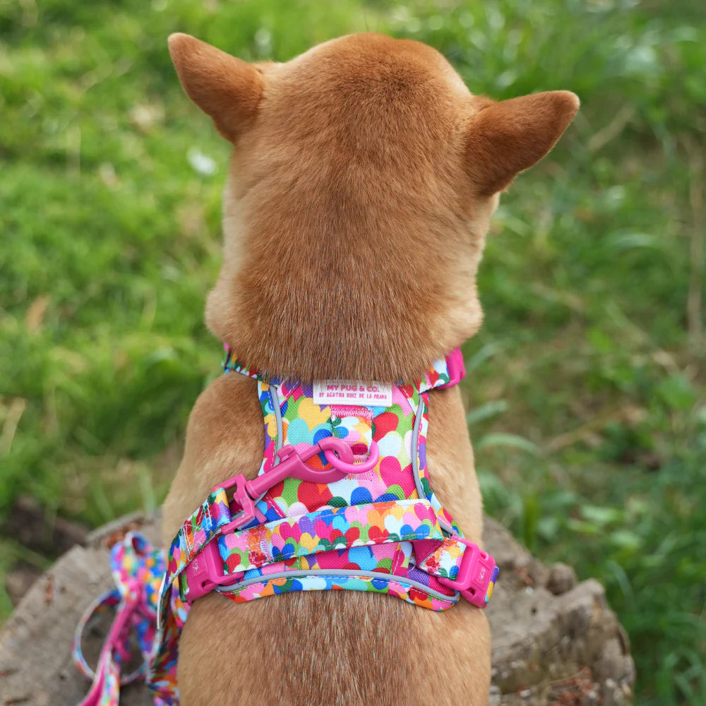 ALL-TERRAIN HARNESS HEARTS