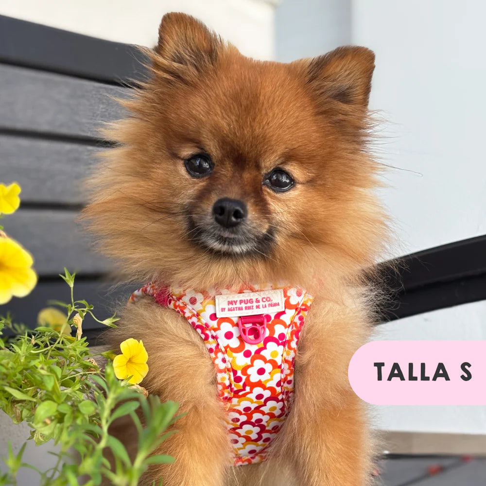 BODY HARNESS FLOWERS POP