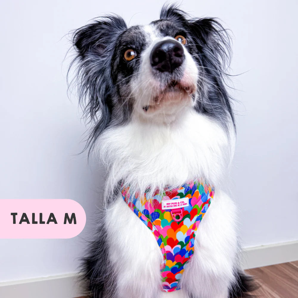 ADJUSTABLE HARNESS HEARTS