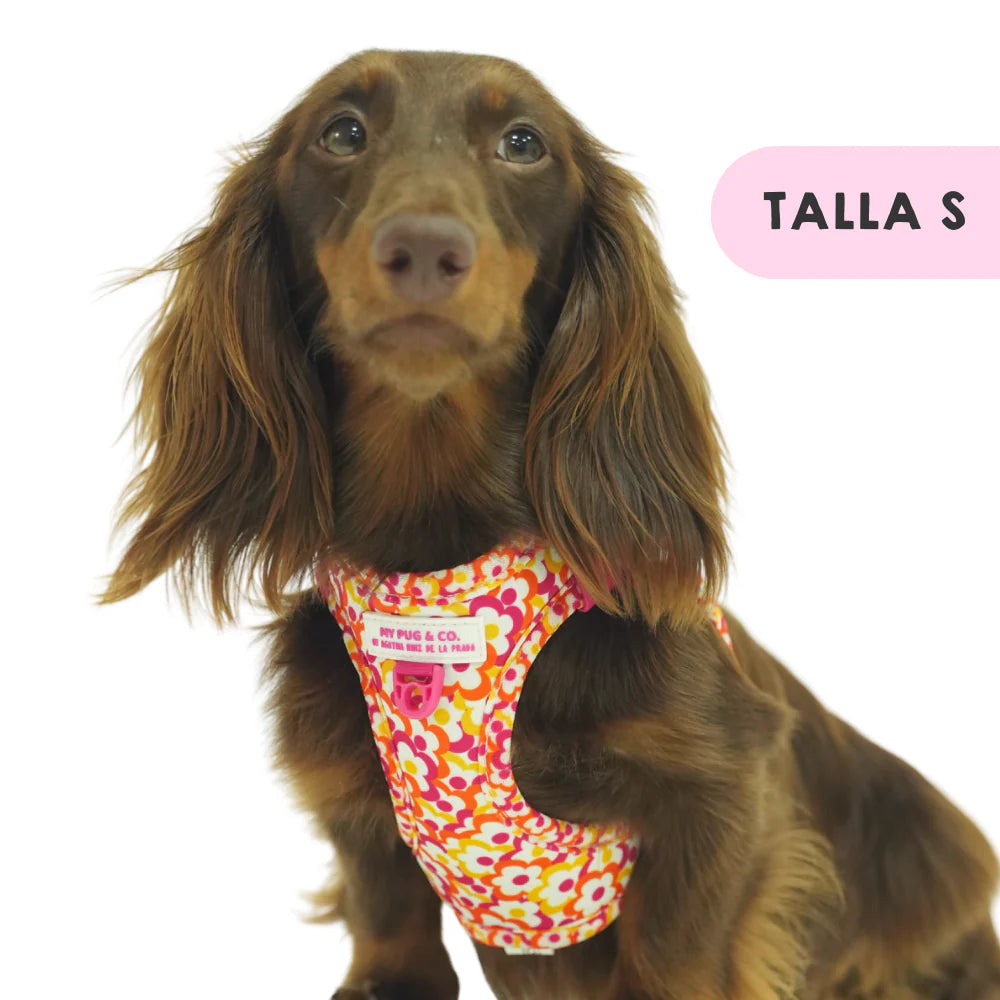 BODY HARNESS FLOWERS POP