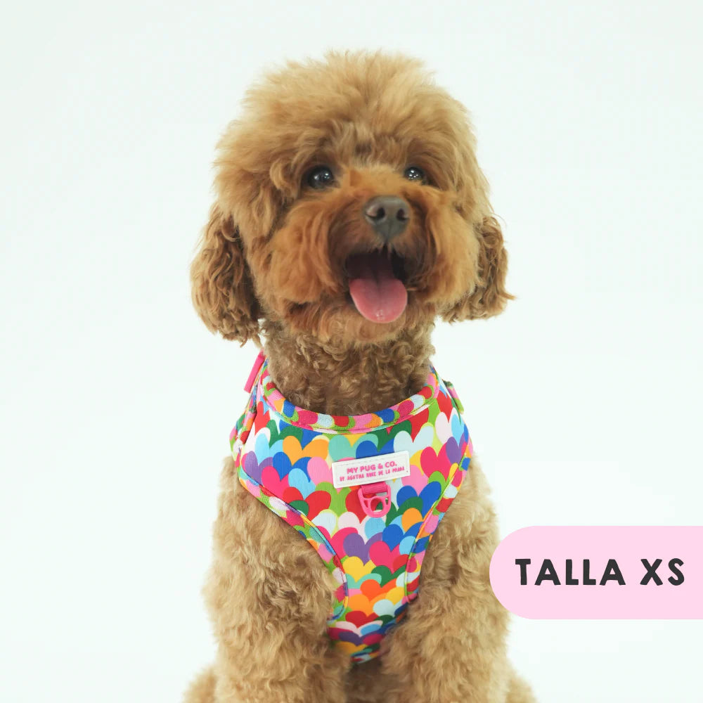 ADJUSTABLE HARNESS HEARTS