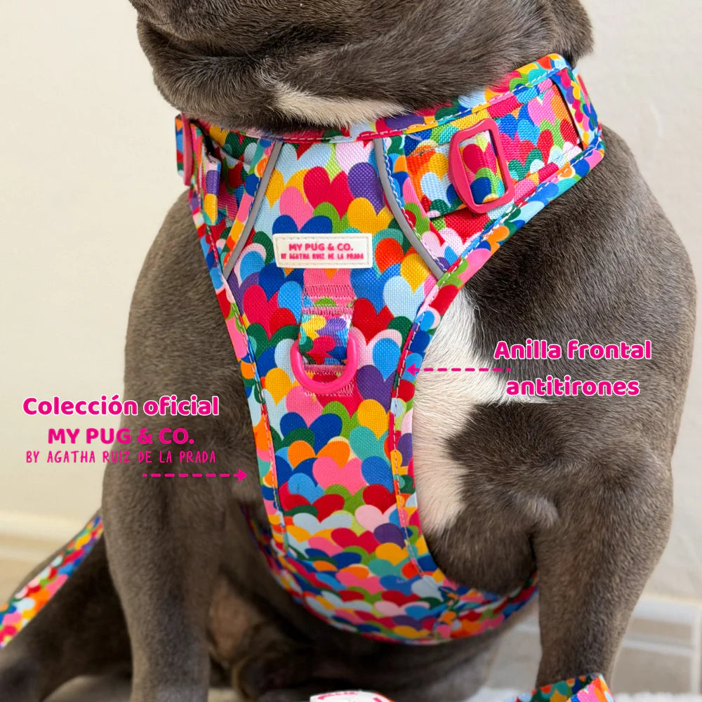 ALL-TERRAIN HARNESS HEARTS