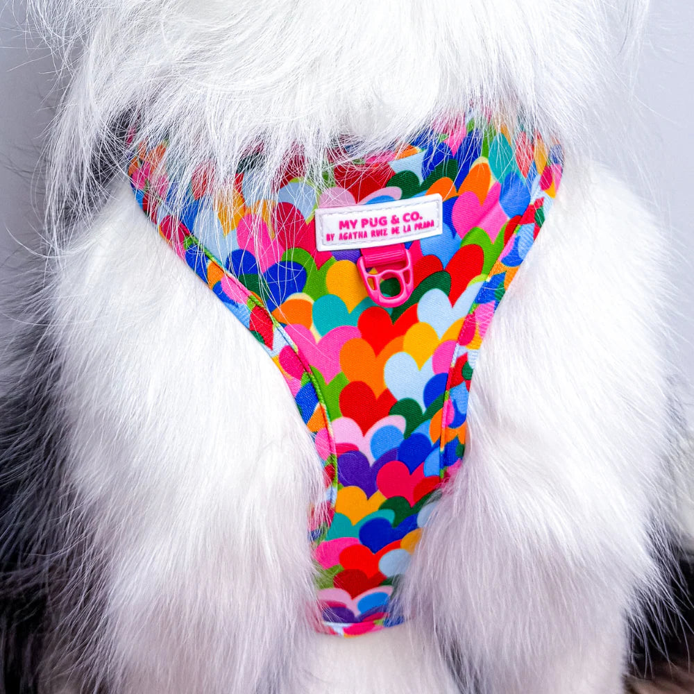 ADJUSTABLE HARNESS HEARTS