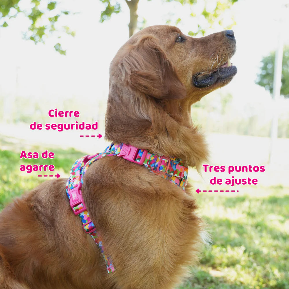 ALL-TERRAIN HARNESS HEARTS