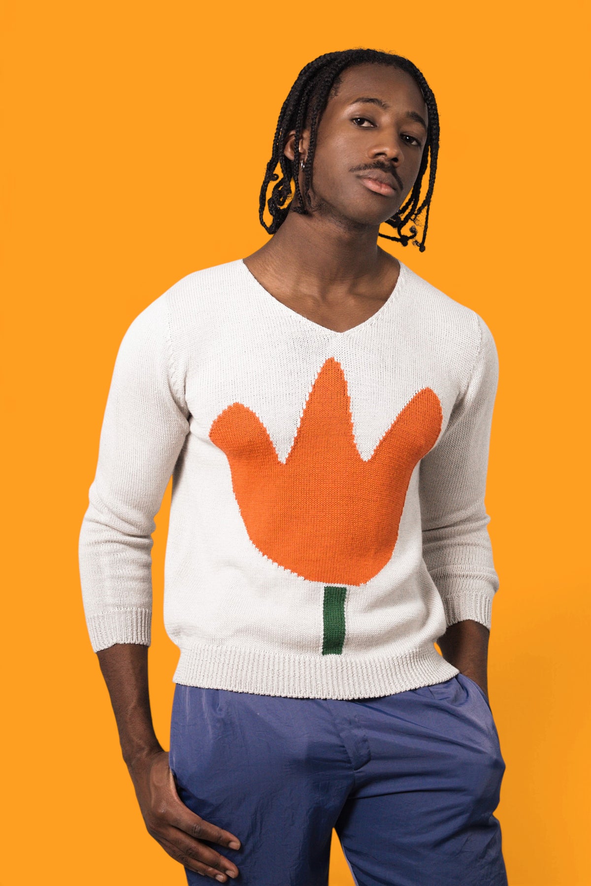JERSEY TULIPAN
