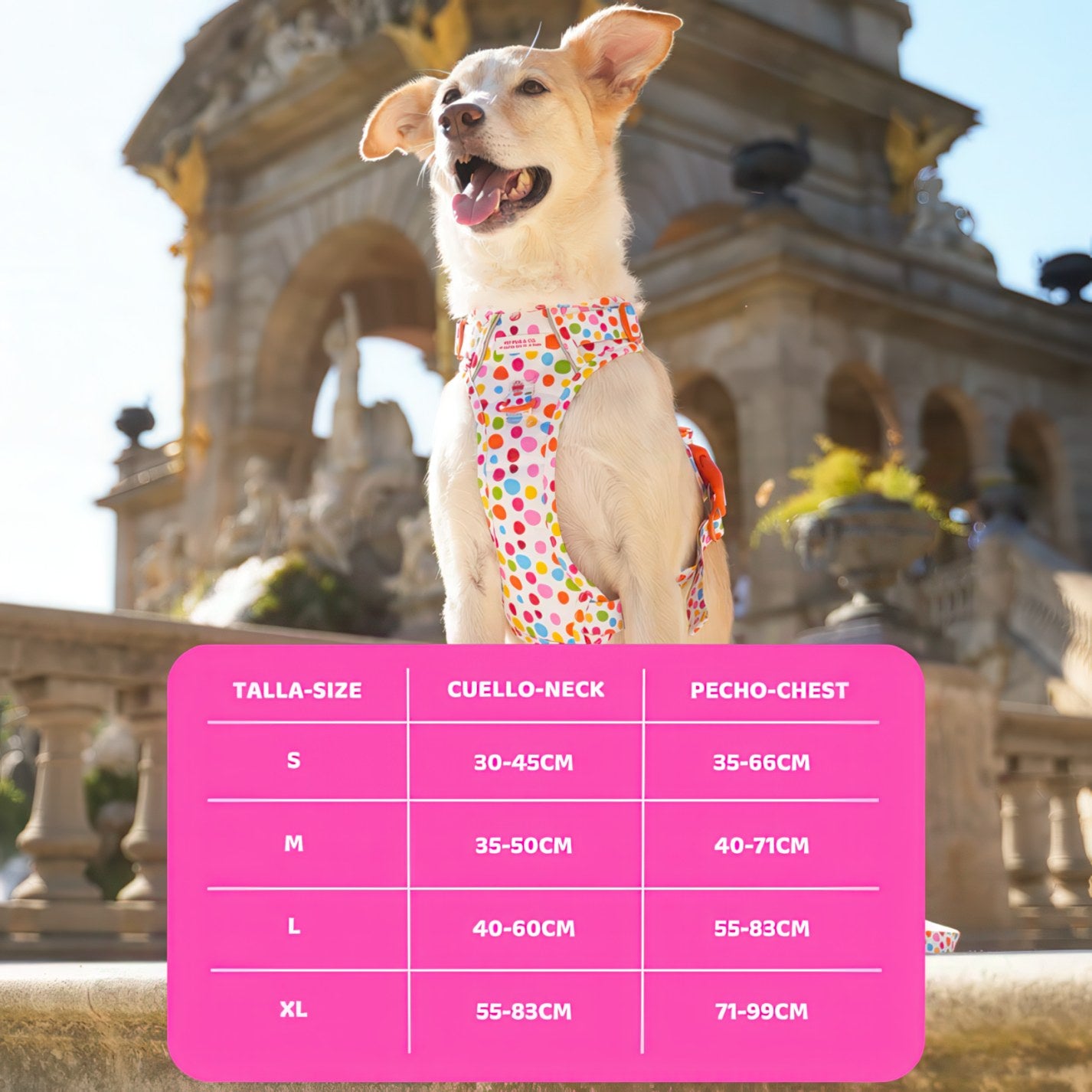 ALL-TERRAIN HARNESS HEARTS