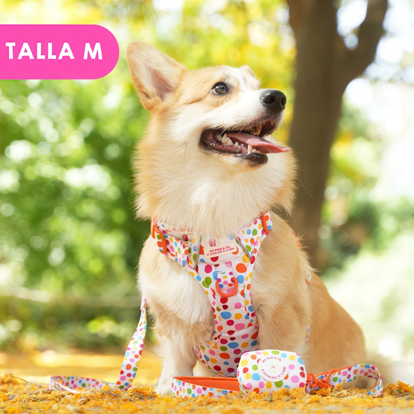 ALL-TERRAIN HARNESS HEARTS