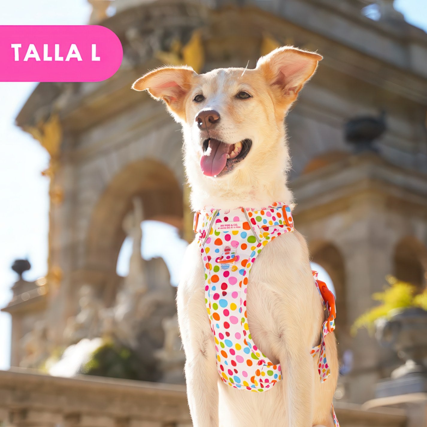ALL-TERRAIN HARNESS HEARTS